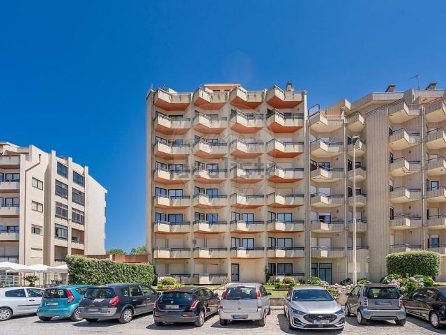 Apartamento, Árvore