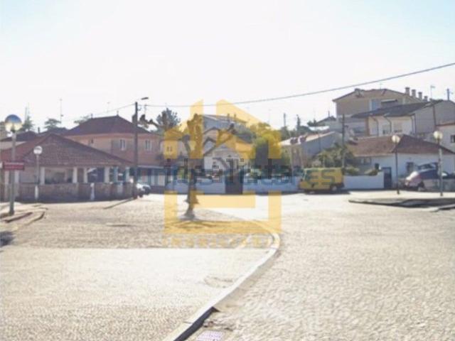 Apartamento, Árvore