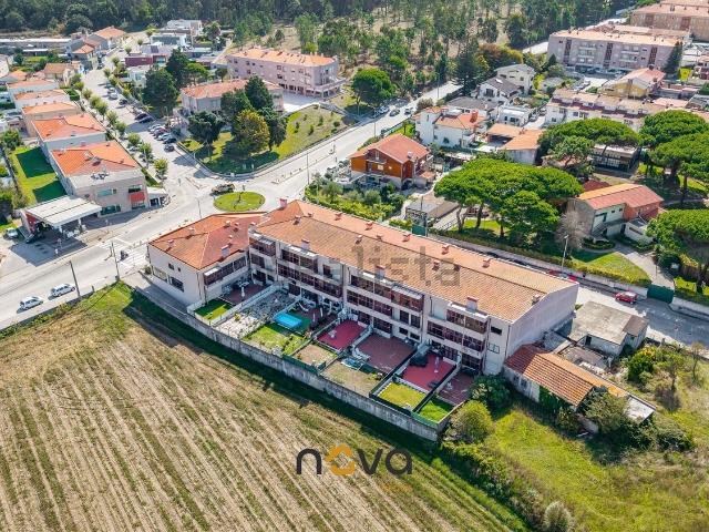 Apartamento, Árvore