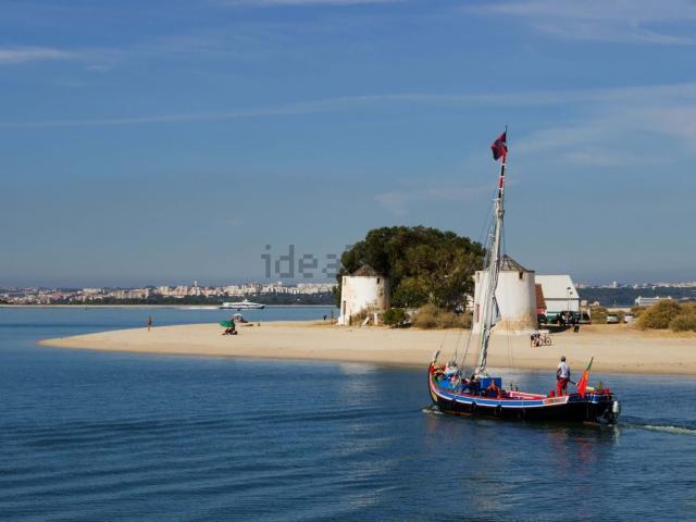 Apartamento, Barreiro e Lavradio