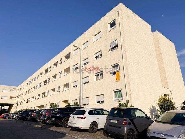 Apartamento, Campo