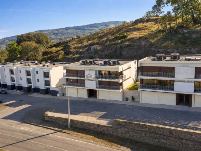 Apartamento, Calvos e Frades