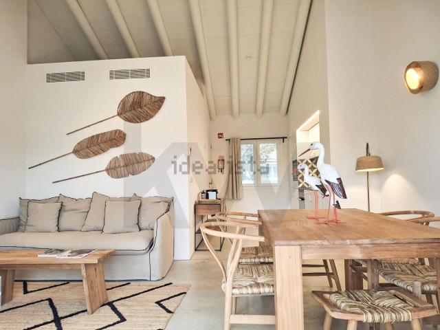 Apartamento, Carvalhal