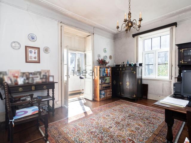 Apartamento, Carolina Michaelis, Cedofeita Santo Ildefonso Sé Miragaia São Nicolau Vitória