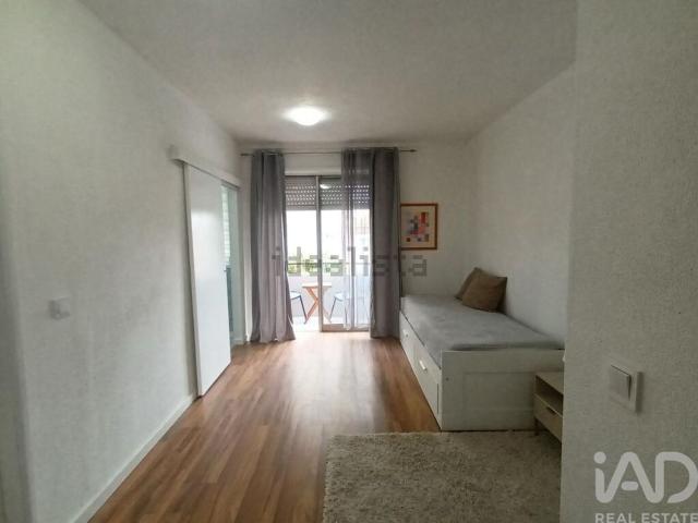 Apartamento, Casa da Música, Cedofeita Santo Ildefonso Sé Miragaia São Nicolau Vitória
