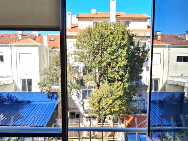 Apartamento, Casa da Música, Cedofeita Santo Ildefonso Sé Miragaia São Nicolau Vitória
