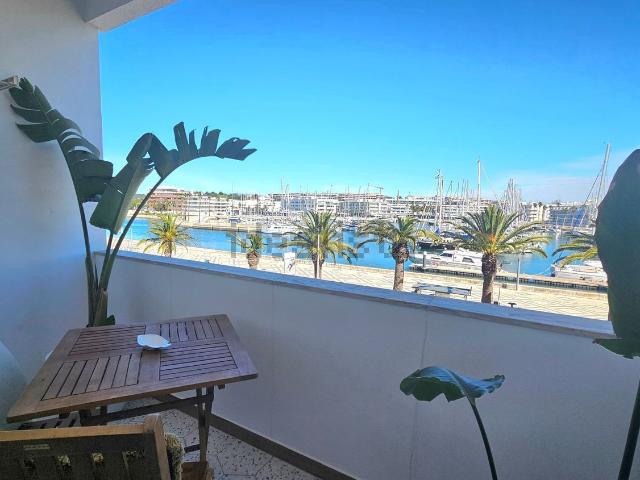 Apartamento, Centro, Lagos