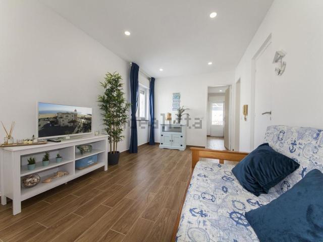 Apartamento, Centro, Lagos