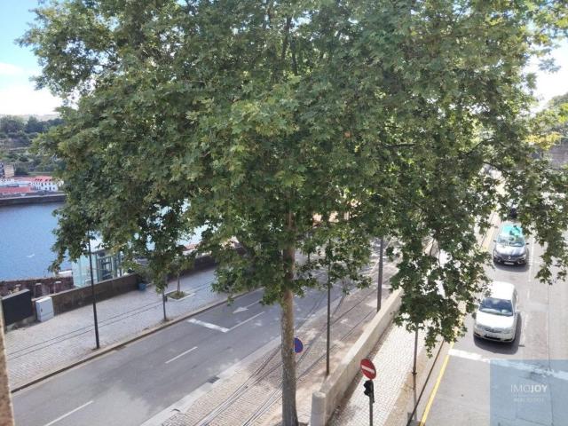 Apartamento, Cedofeita Santo Ildefonso Sé Miragaia São Nicolau Vitória
