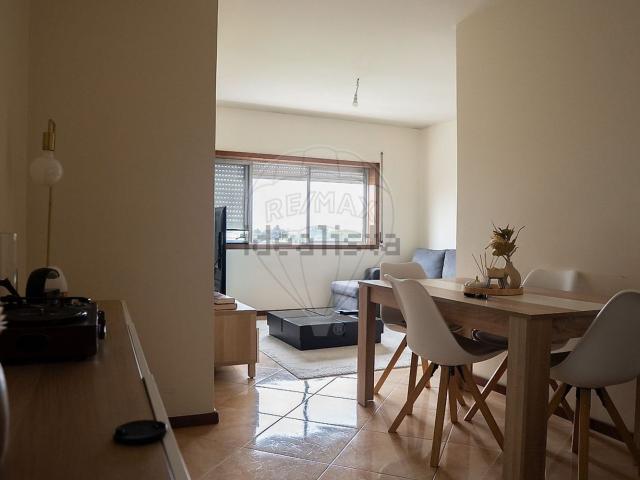 Apartamento, Cidade da Maia