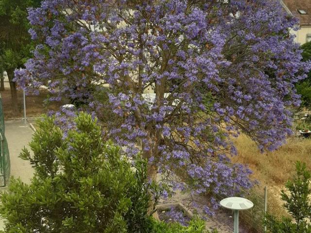 Apartamento, Cidade de Santarém