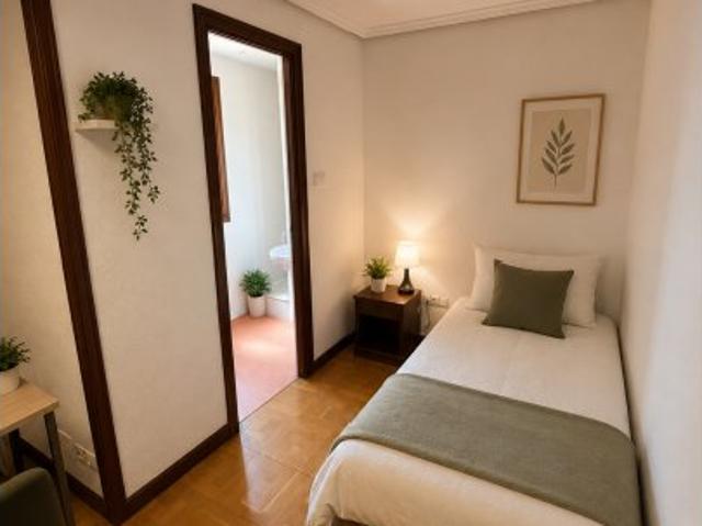 Apartamento compartido de 4 habitaciones en Plaza Mayor, Valladolid