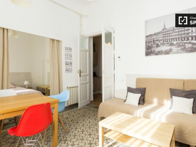 Apartamento de 1 dormitorio en alquiler en Embajadores, Madrid
