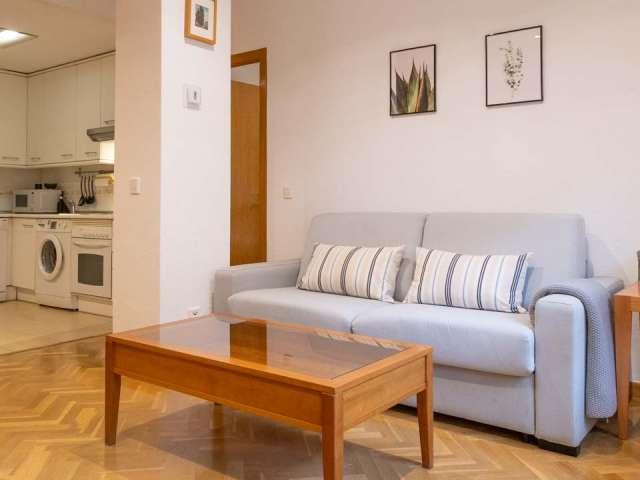 Apartamento de 1 dormitorio en Acacias, Madrid
