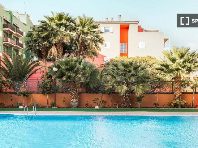 Apartamento de 1 dormitorio en alquiler en Candelaria
