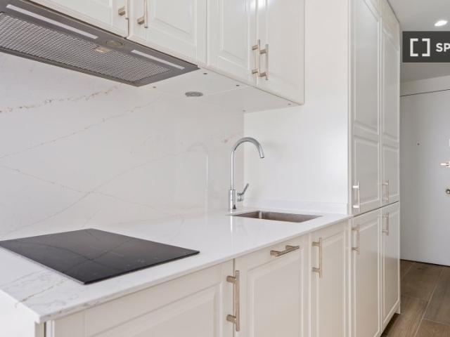 Apartamento de 1 dormitorio en alquiler en Castellana, Madrid