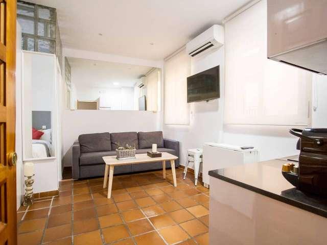 Apartamento de 1 dormitorio en alquiler en Centro, Madrid