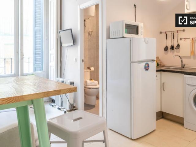 Apartamento de 1 dormitorio en alquiler en Centro, Madrid