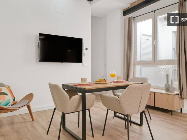 Apartamento de 1 dormitorio en alquiler en El Carme, Valencia