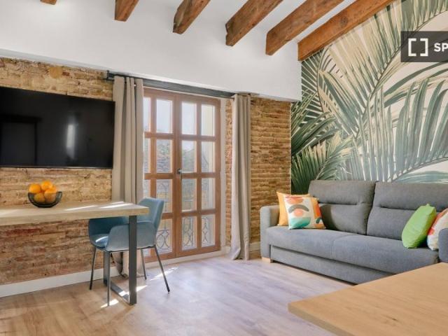 Apartamento de 1 dormitorio en alquiler en El Carme, Valencia