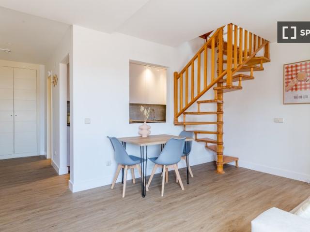 Apartamento de 1 dormitorio en alquiler en Almenara, Madrid