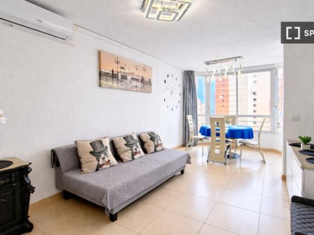 Apartamento de 1 dormitorio en alquiler en Benidorm