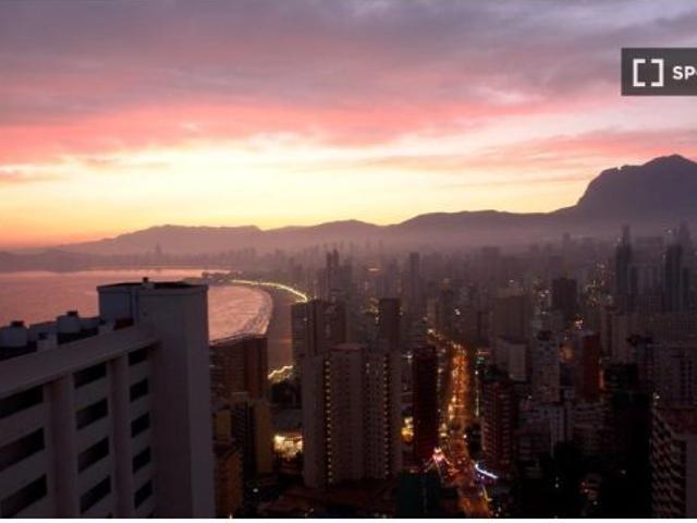 Apartamento de 1 dormitorio en alquiler en Benidorm