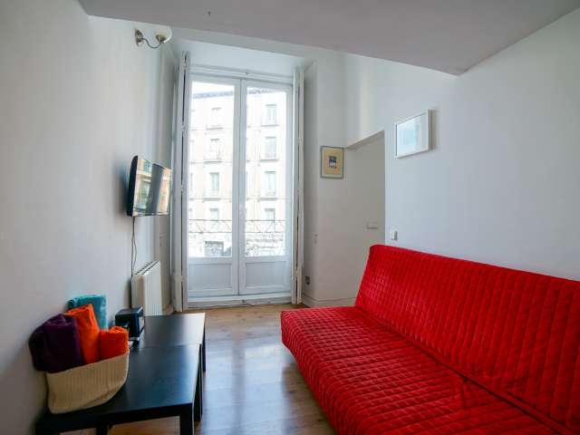 Apartamento de 1 dormitorio en alquiler en Embajadores, Madrid