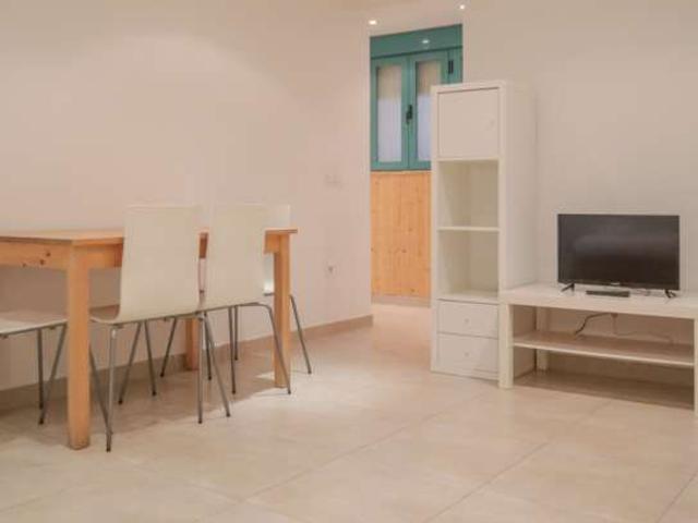 Apartamento de 1 dormitorio en alquiler en Embajadores, Madrid