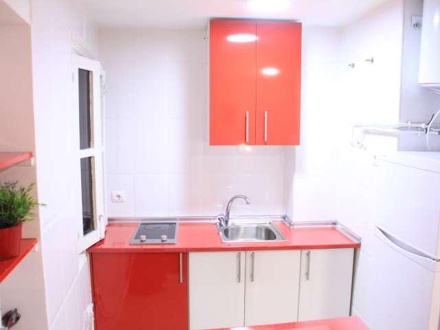 Apartamento de 1 dormitorio en alquiler en Embajadores, Madrid