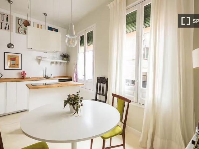 Apartamento de 1 dormitorio en alquiler en Embajadores, Madrid