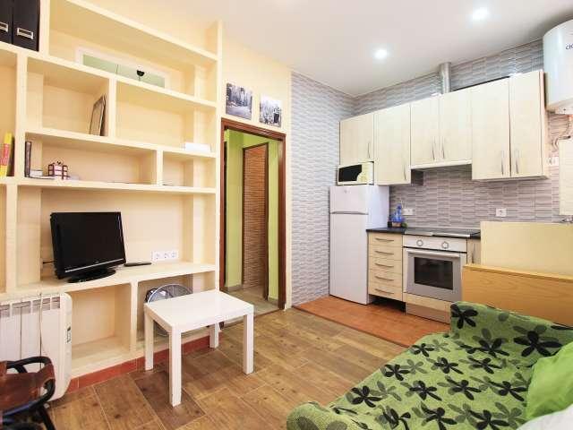 Apartamento de 1 dormitorio en alquiler en Embajadores, Madrid