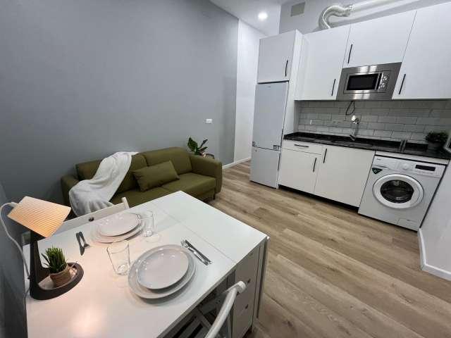 Apartamento de 1 dormitorio en alquiler en Embajadores, Madrid