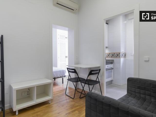 Apartamento de 1 dormitorio en alquiler en Embajadores, Madrid
