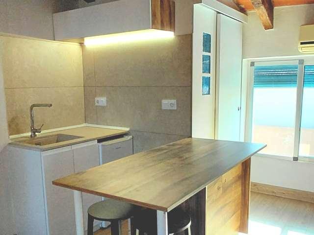 Apartamento de 1 dormitorio en alquiler en El Carme, Valencia