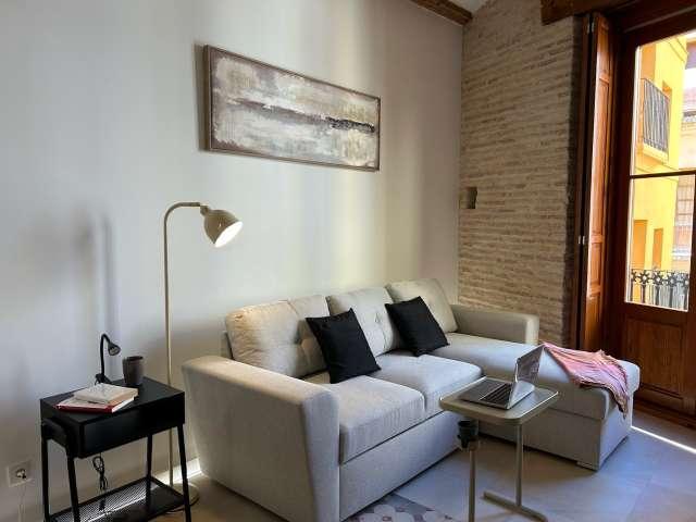 Apartamento de 1 dormitorio en alquiler en El Carme, Valencia