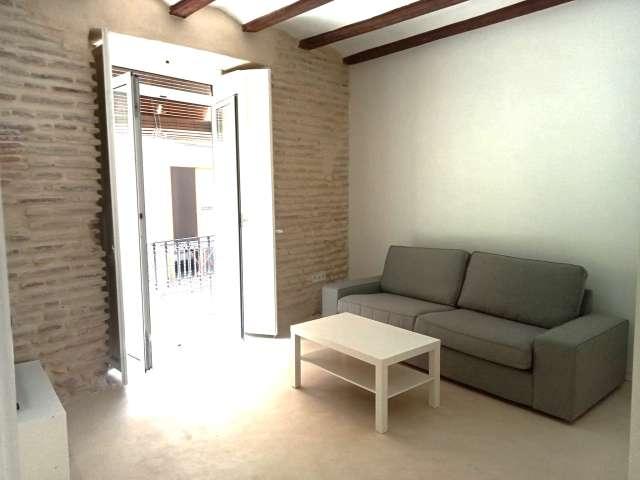 Apartamento de 1 dormitorio en alquiler en El Carme, Valencia