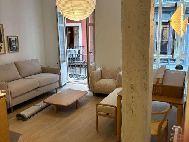 apartamento de 1 dormitorio en alquiler en el Casco Viejo, Bilbao