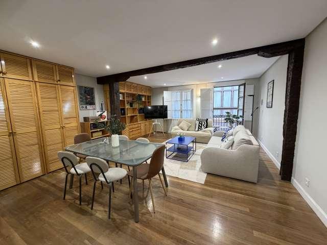 apartamento de 1 dormitorio en alquiler en el Casco Viejo, Bilbao
