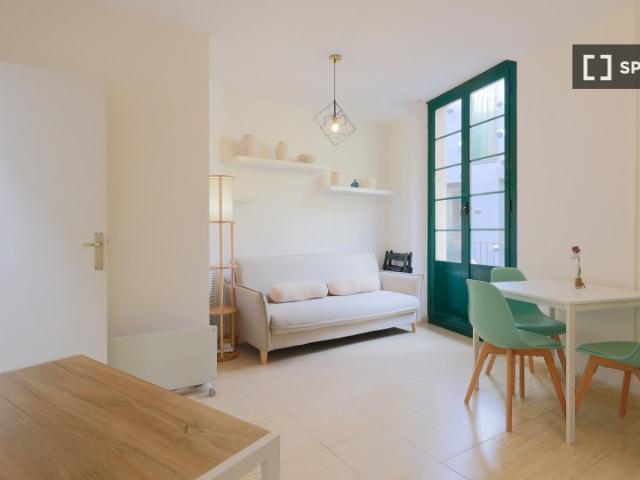 Apartamento de 1 dormitorio en alquiler en El Gòtic, Barcelona