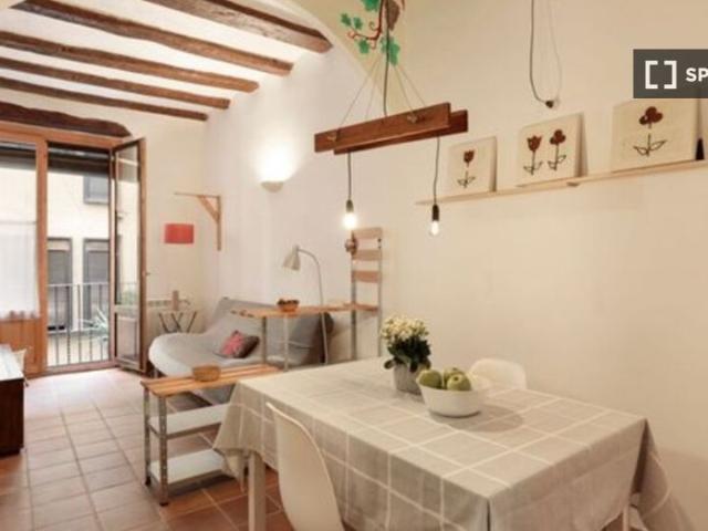 Apartamento de 1 dormitorio en alquiler en El Gòtic, Barcelona