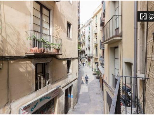 Apartamento de 1 dormitorio en alquiler en El Gótico, gastos incluidos