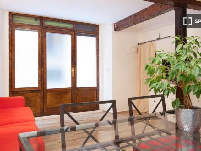 apartamento de 1 dormitorio en alquiler en El Raval, Barcelona