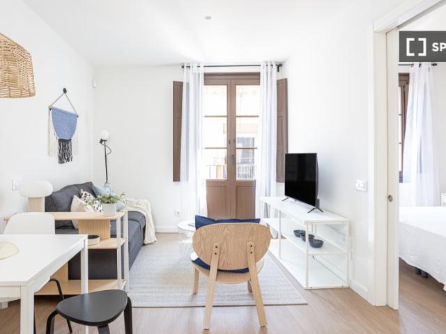 apartamento de 1 dormitorio en alquiler en El Raval, Barcelona