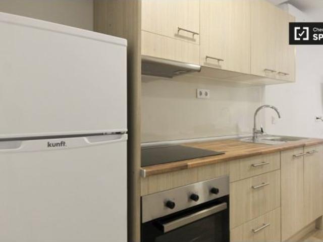 Apartamento de 1 dormitorio en alquiler en Hostafrancs