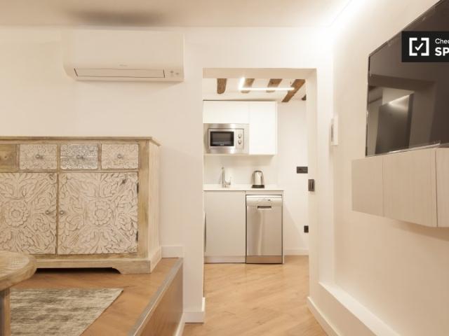 Apartamento de 1 dormitorio en alquiler en Lavapiés en Madrid
