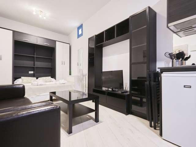 apartamento de 1 dormitorio en alquiler en Lavapiés, Madrid