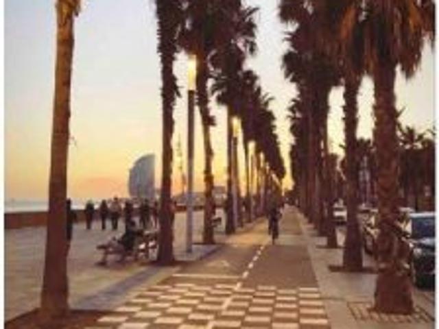 Apartamento de 1 dormitorio en alquiler en La Barceloneta