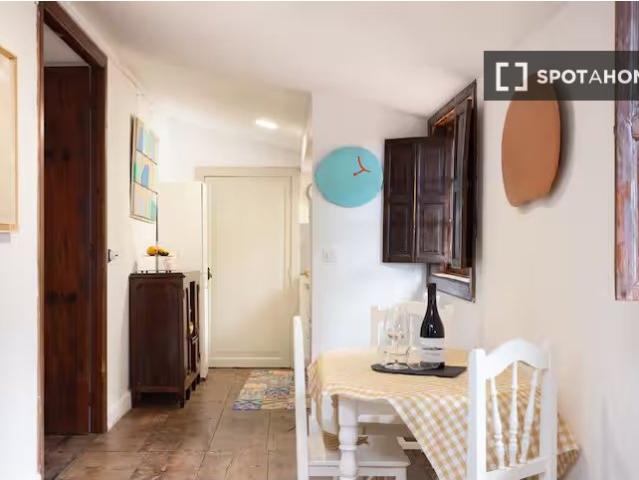 Apartamento de 1 dormitorio en alquiler en La Orotava