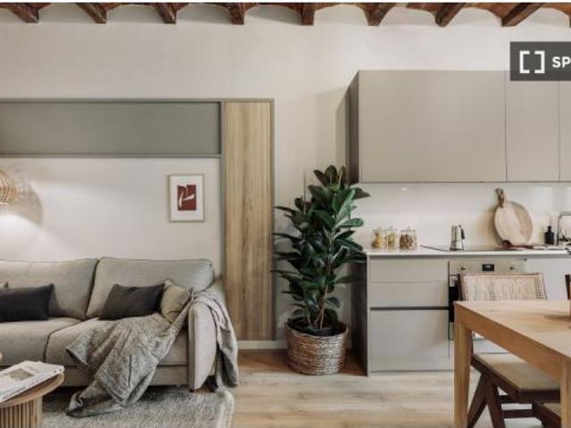 Apartamento de 1 dormitorio en alquiler en La Sagrada Família, ideal para profesionales y parejas